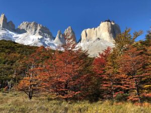Torres Del Paine National Park #torresdelpaine #frenchvalley