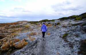 An Itinerary for Tasmania: 10 - 18 Day Road Trip #tasmaniaitinerary #roadtrip