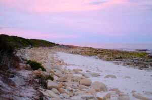 An Itinerary for Tasmania: 10 - 18 Day Road Trip #tasmaniaitinerary #roadtrip