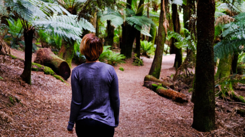 An Itinerary for Tasmania: 10 - 18 Day Road Trip #tasmaniaitinerary #roadtrip