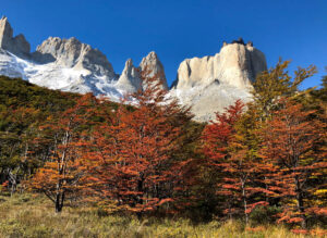 Torres Del Paine: The Ultimate Guide #torresdelpaine #patagonia