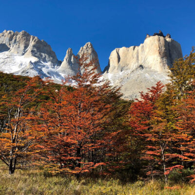 The W Trek: The Ultimate Guide