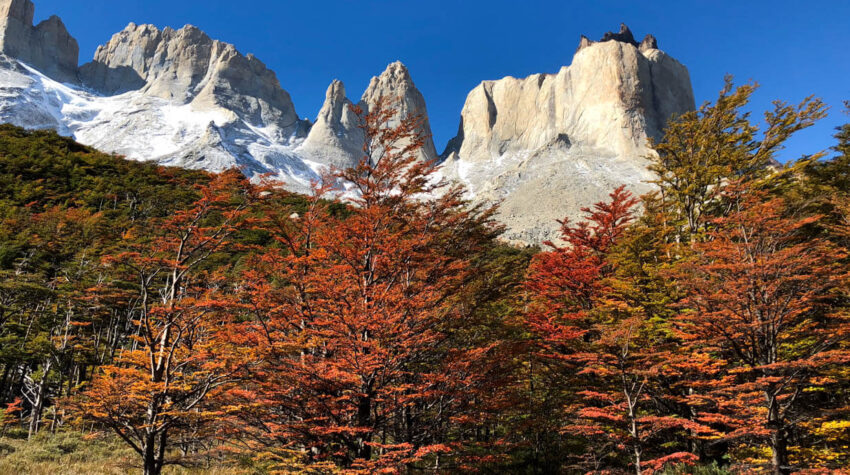 The W Trek: The Ultimate Guide #thewtrek #patagonia #torresdelpaine