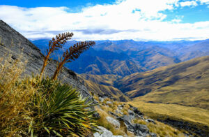 The stunning natural landscapes of New Zealand on the way up to the Ben Lomond Summit. #benlomond #hikingnewzealand