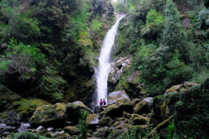 A hike in Pumalin Park in Patagonia
